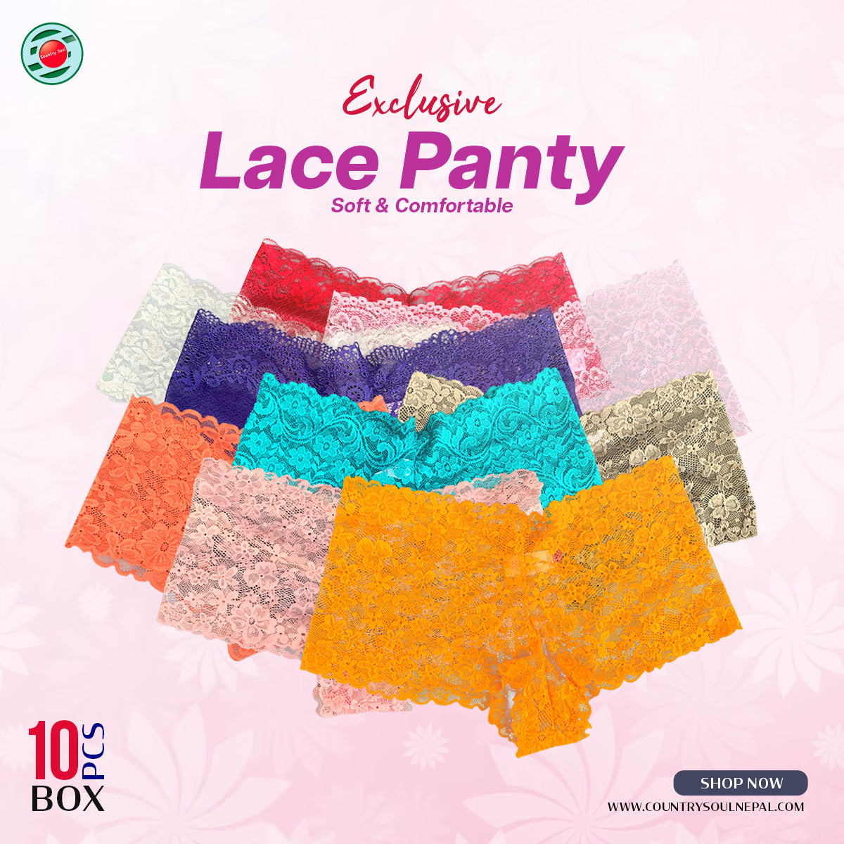 10 Pcs Assorted Multicolor Lace Panty